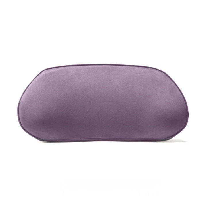Lumbar Support Pillow for XPENG G6/G9/P7/X9/L03/G7/P7+