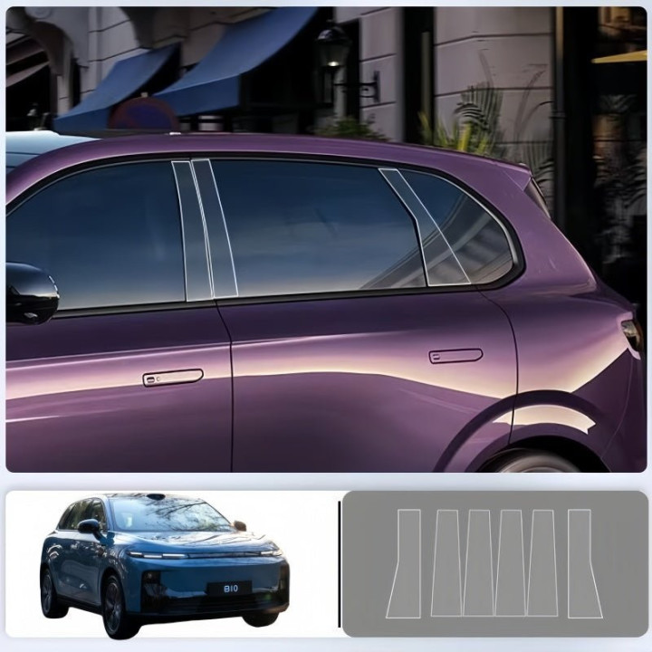 Clear & Smoke Black Pillar Guard for Leapmotor B10/C10/B05
