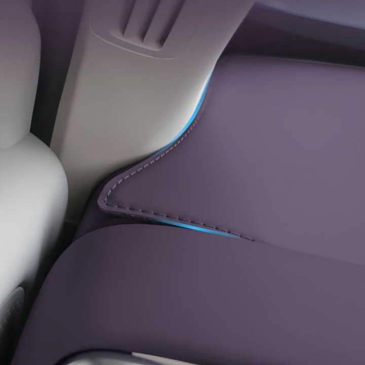 Dashboard Cover Mat for Leapmotor B10