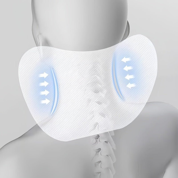 Headrest & Lumbar Support for Zeekr
