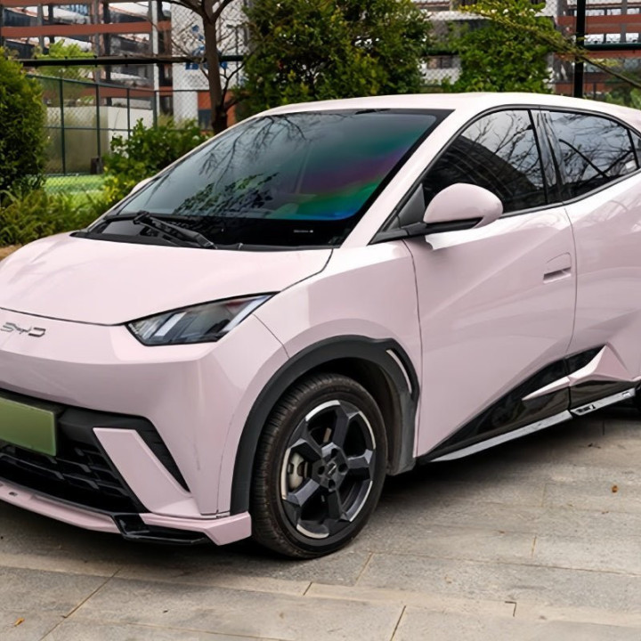 Full Body Kit for BYD Dolphin Surf/Seagull