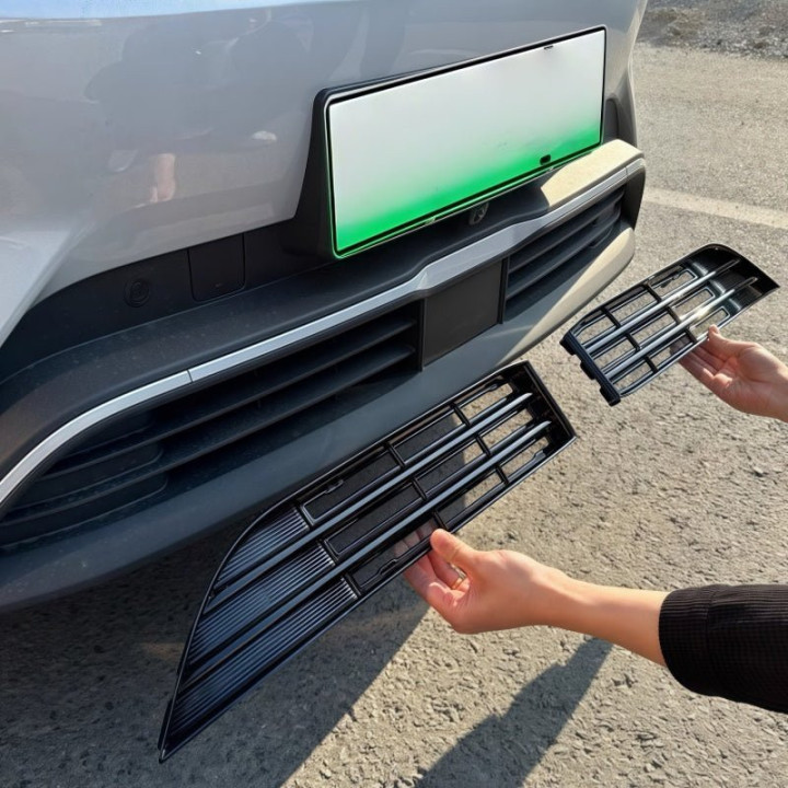 Grille Proof Net for BYD Atto 2