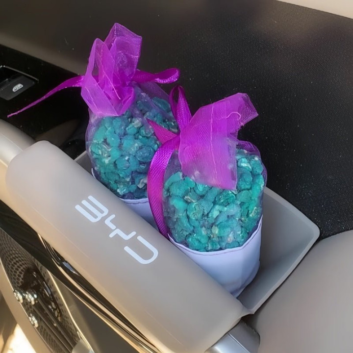 Door Armrest Storage Box for BYD ATTO 3