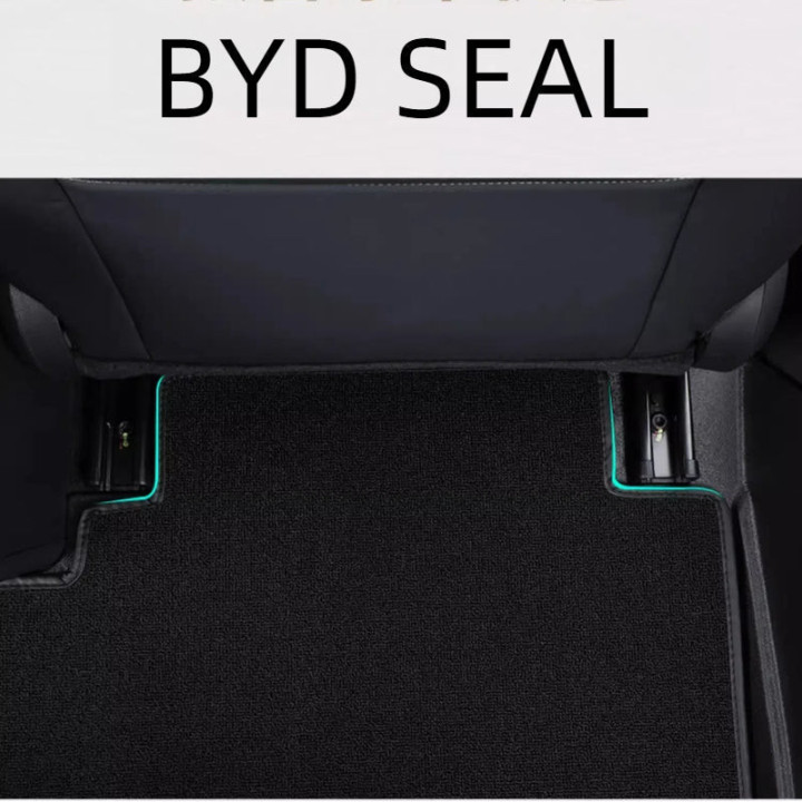 2 - Layer Floor Mats for BYD Seal