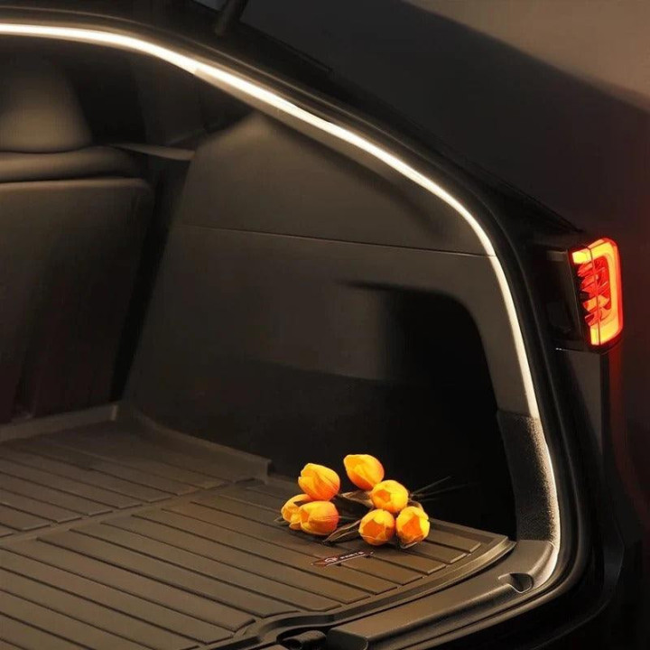 ZEEKR X/009 Trunk Lighting Ambient Light