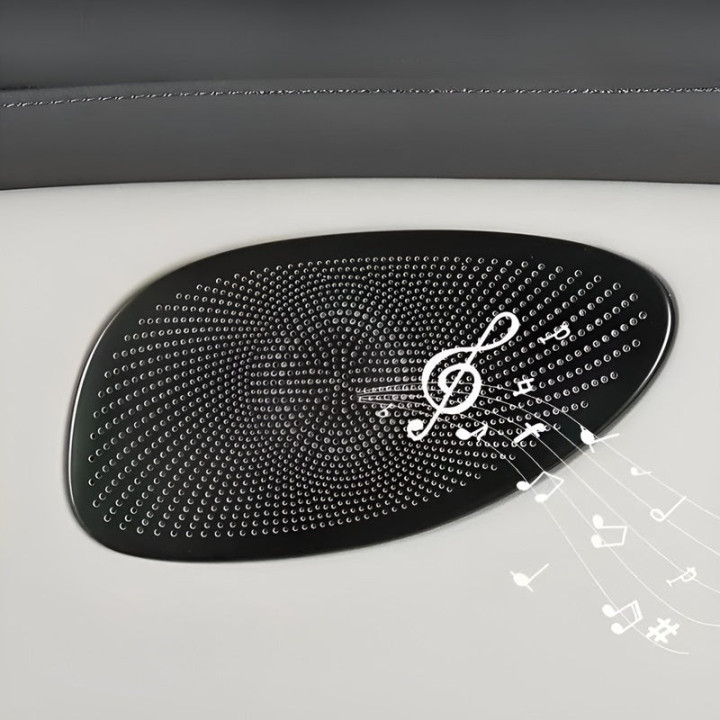 Kryty mřížek reproduktorů z oceli 304 pro MG IM6 – foto 11