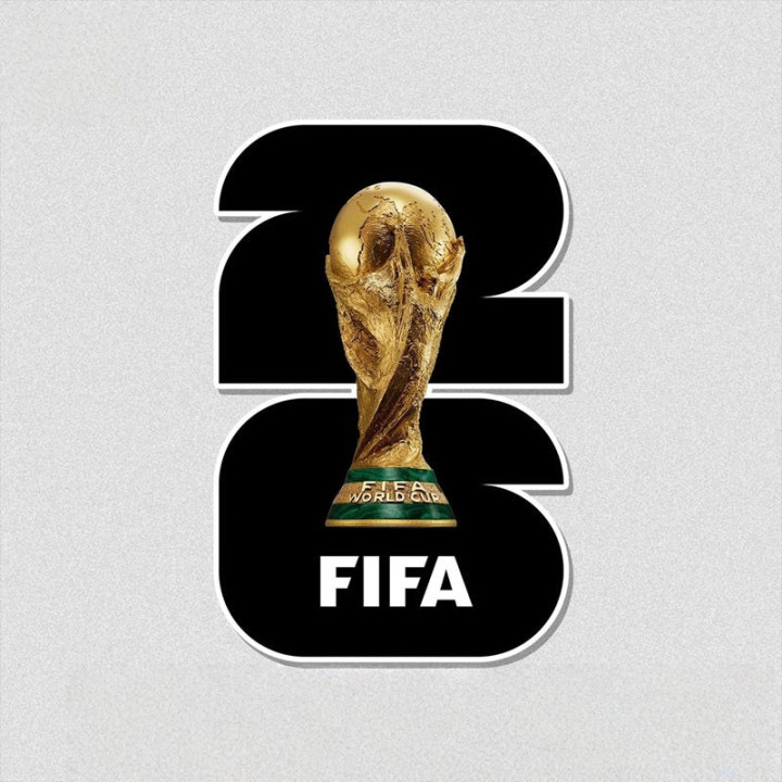 Barevná samolepka World Cup 2026 pro BYD – foto 3