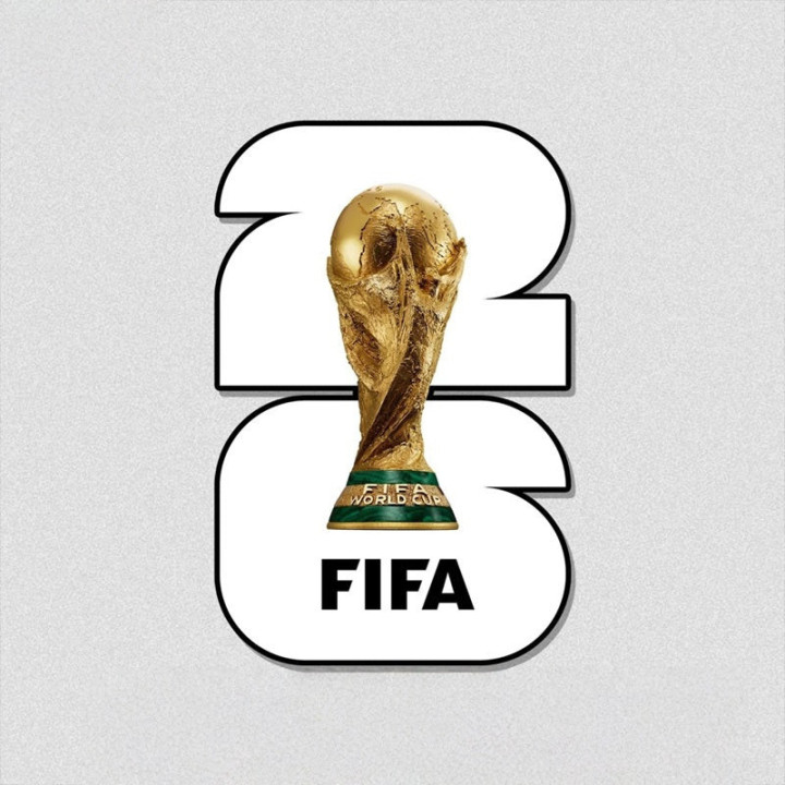 Barevná samolepka World Cup 2026 pro BYD – foto 4