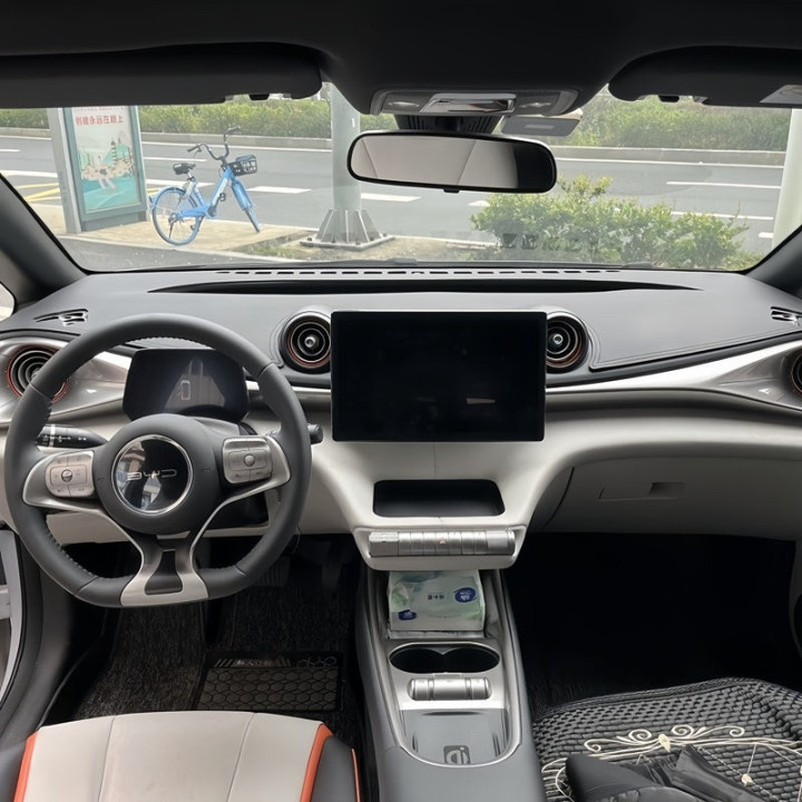 Sluneční rohož na palubní desku pro BYD Dolphin – foto 3