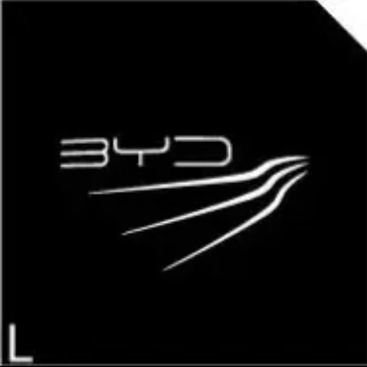 Uvítací dveřní světla 12 V pro BYD a Denza D9 – foto 2